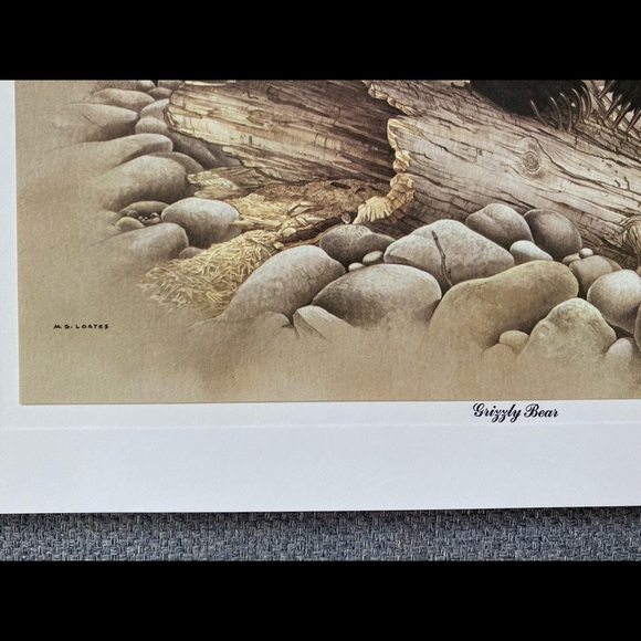 M.G. Loates prints, ca. 1967 - Picture 4 of 8